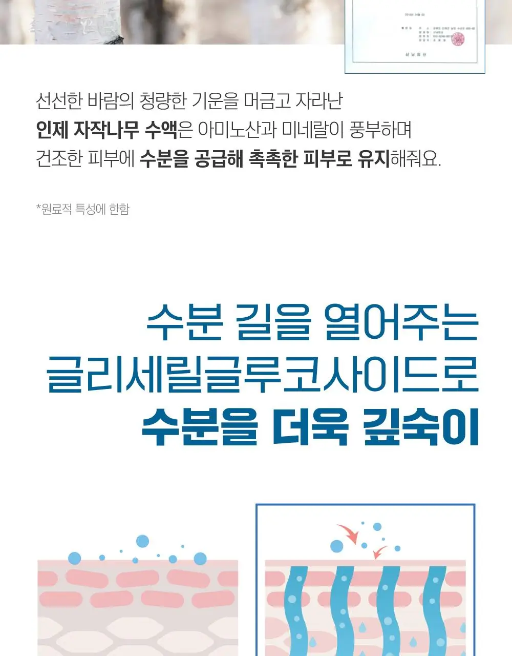 [박재훈PICK] 라운드랩 포맨 자작나무 토너/로션 2종기획 (쉐이빙 폼40ml or 토너300ml+미니세트) 상세페이지 16